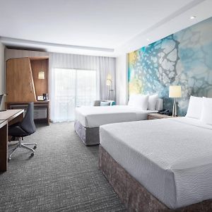 Queen Room Two Queen Beds